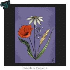 Bouquet carte illustrée Christ'L art Christelle Le Querrec
