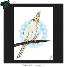 Calopsitte carte illustrée Christ'L art Christelle Le Querrec
