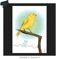 Canari carte illustrée Christ'L art Christelle Le Querrec
