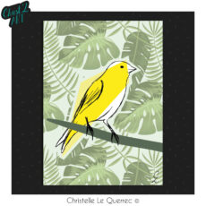 Canari color carte illustrée Christ'L art Christelle Le Querrec