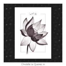 Illustration Lotus Christelle Le Querrec