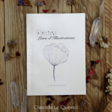 Fleurs Livre d'Illustrations Christelle Le Querrec