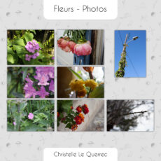 Fleurs - Selection de photographie imprimée